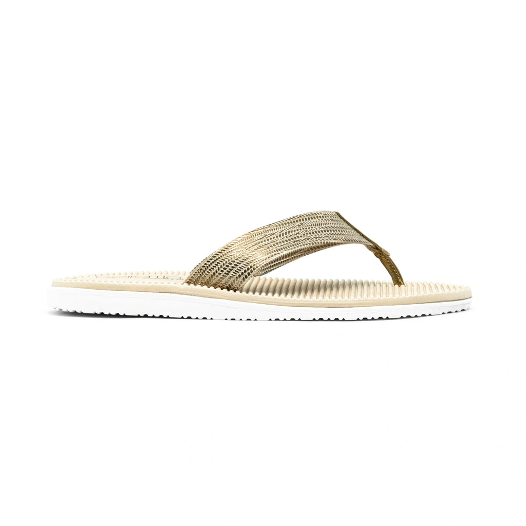 Chinelo Feminino Beira Rio Metalizado Cestary